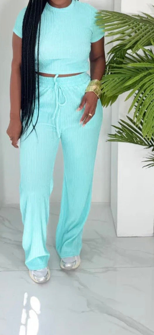 WRINKLE SS TOP & PANTS SET